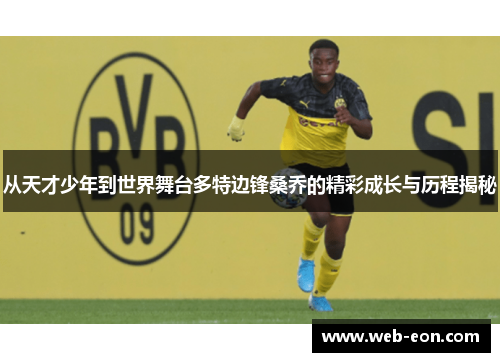 从天才少年到世界舞台多特边锋桑乔的精彩成长与历程揭秘