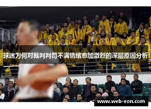球迷为何对裁判判罚不满情绪愈加激烈的深层原因分析